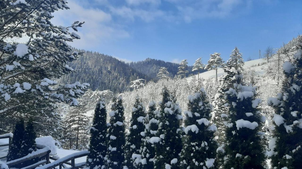 Apartman Suncana Dolina, Zaovine Εξωτερικό φωτογραφία
