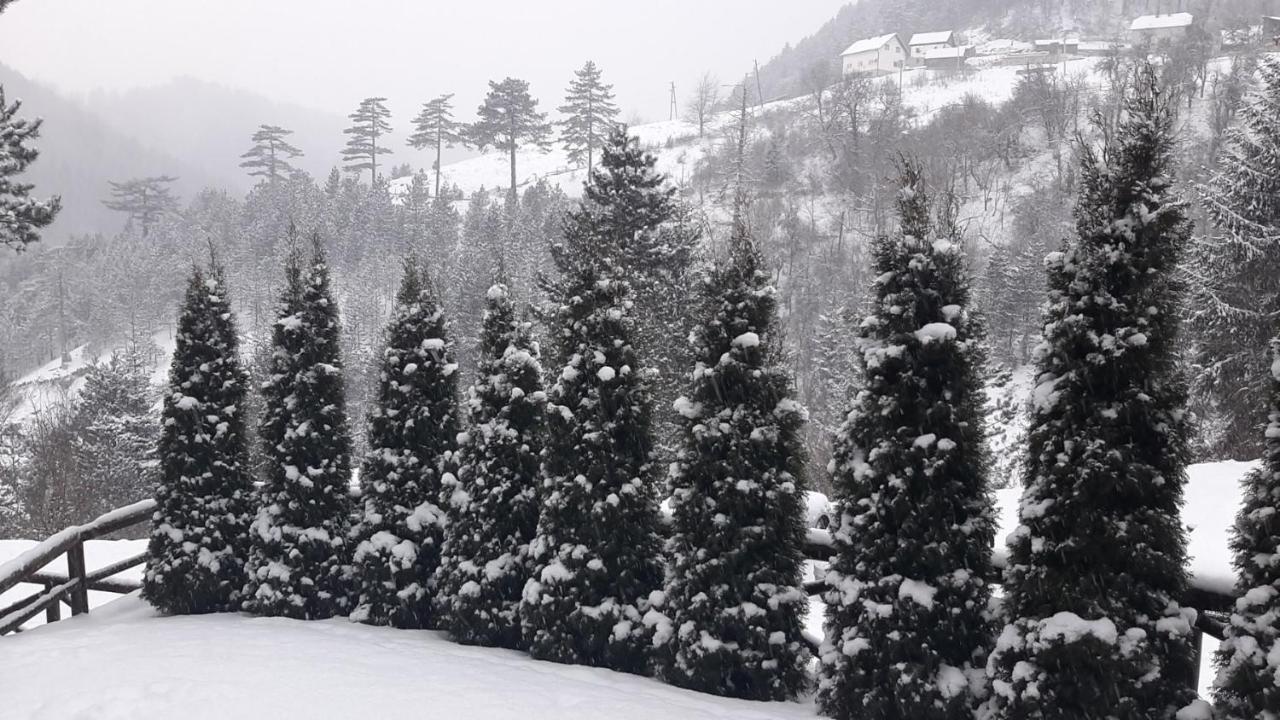 Apartman Suncana Dolina, Zaovine Εξωτερικό φωτογραφία